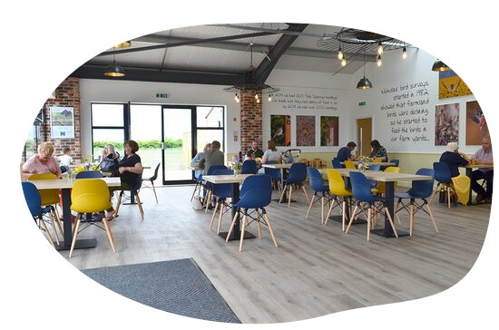 A photo of the vine house cafe